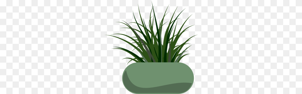 Potted Grass Clip Arts For Web, Flax, Vase, Pottery, Potted Plant Free Png
