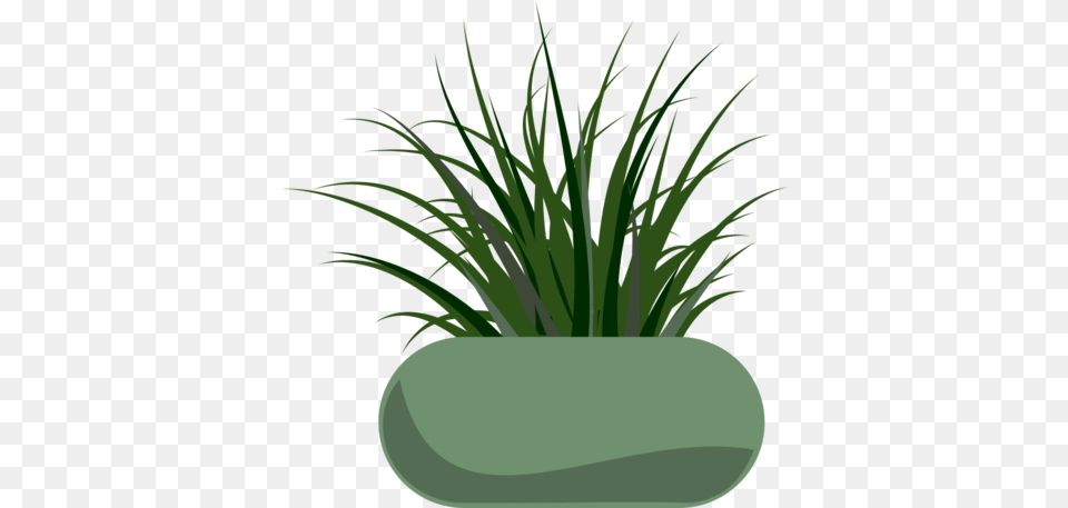 Potted Grass Clipart And Vector Graphics, Flax, Pottery, Potted Plant, Planter Free Png
