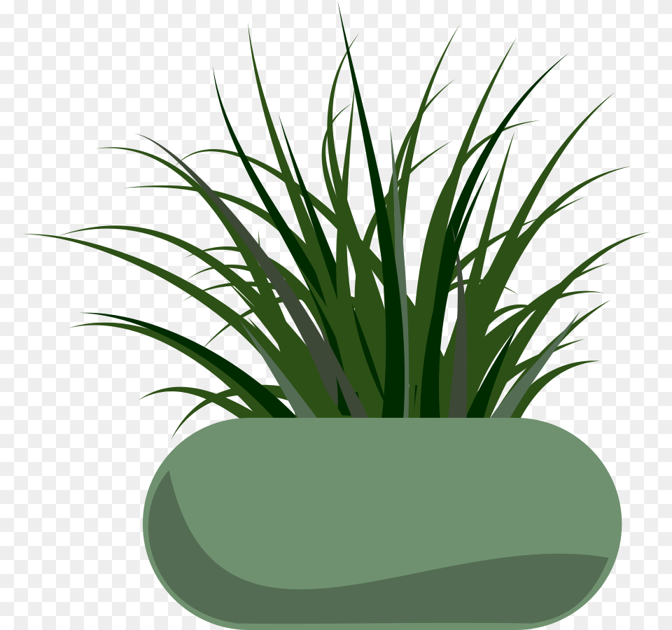 Potted Grass Large Size, Jar, Plant, Planter, Potted Plant Png