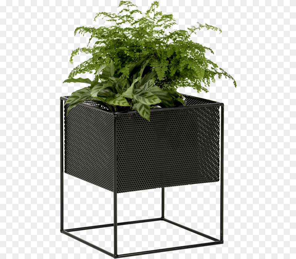 Potted Outdoor Plants, Jar, Plant, Planter, Potted Plant Png Image