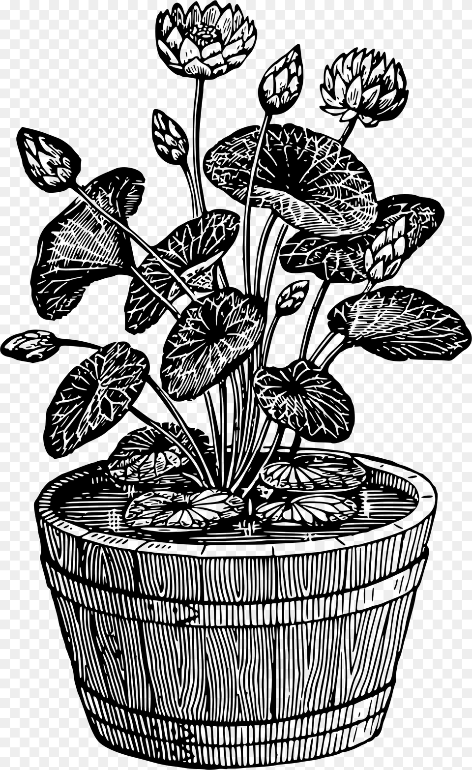 Potted Plant 10 Clip Arts Black And White Potted Plant, Gray Free Transparent Png