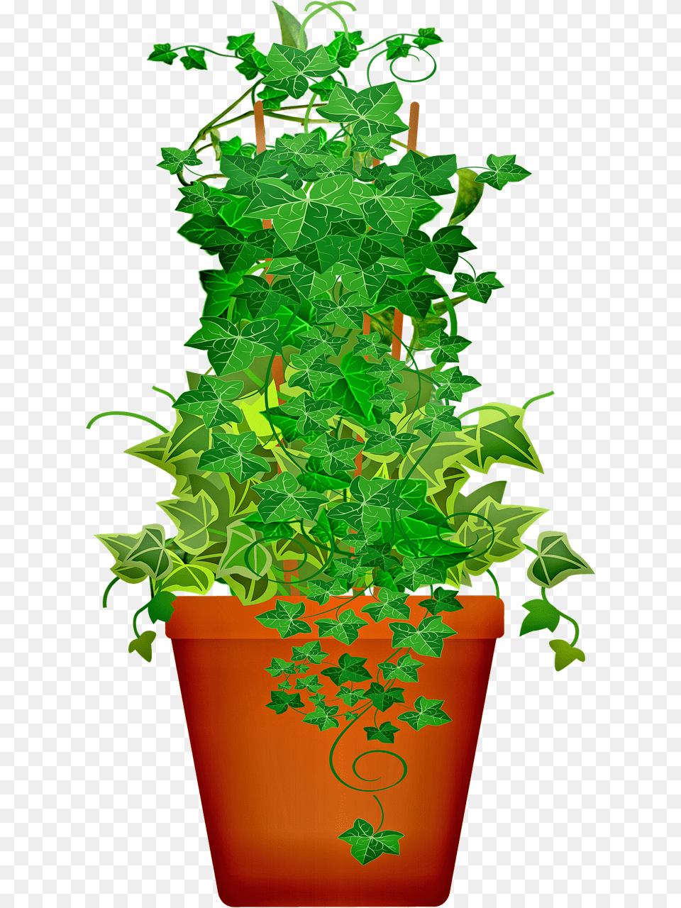 Potted Plant, Potted Plant, Ivy, Leaf, Vine Free Transparent Png