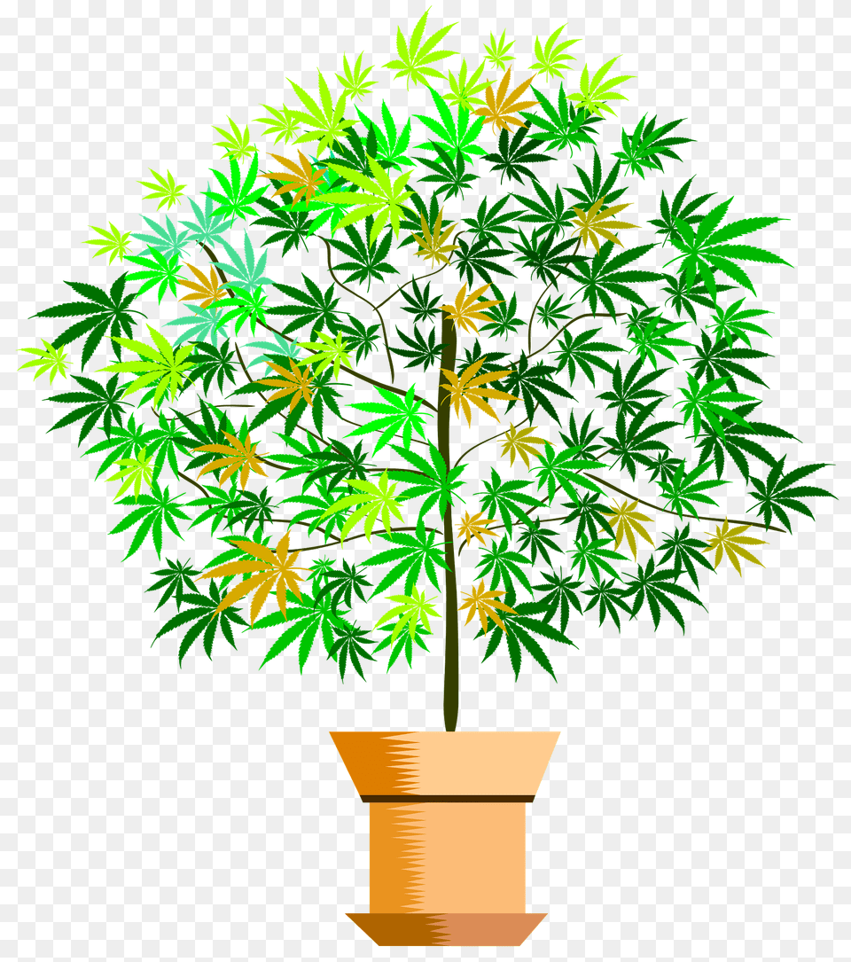 Potted Plant Clipart, Leaf, Potted Plant, Tree, Vegetation Free Png Download