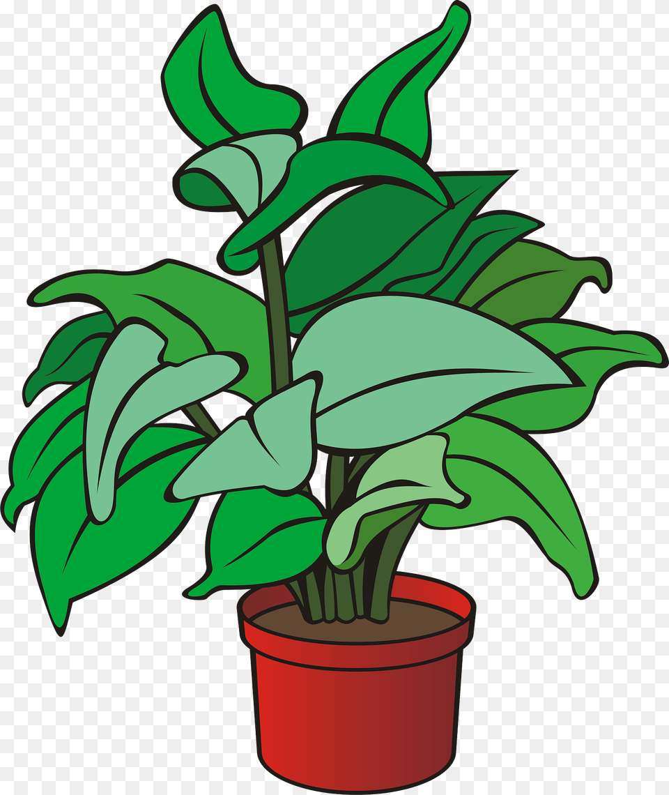 Potted Plant Clipart, Leaf, Potted Plant, Flower, Dynamite Png