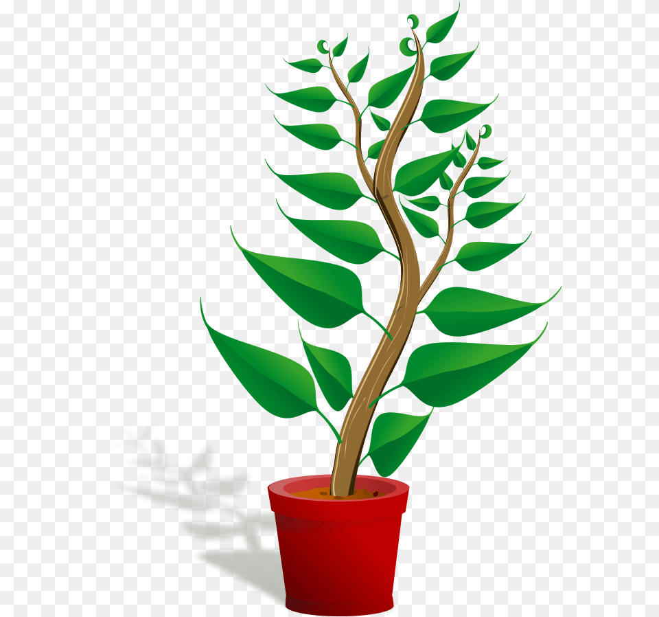 Potted Plant Clipart Plant Clip Art, Leaf, Tree, Potted Plant, Flower Free Png