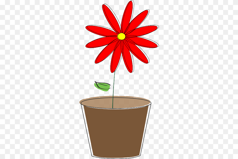Potted Plant Flower Daisy Spring Bloom Blossom Prix Versailles 2016, Potted Plant, Petal, Pot, Cookware Png Image