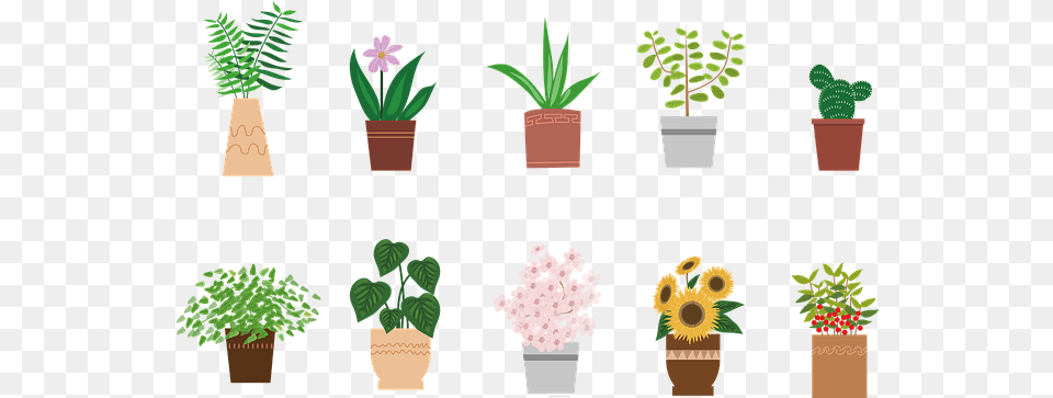 Potted Plant Flowers Plants Flowerpot, Potted Plant, Jar, Planter, Pottery Png