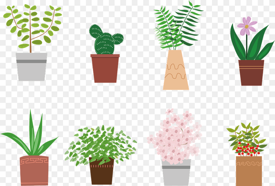 Potted Plant Flowers Plants Plants, Planter, Potted Plant, Pottery, Leaf Free Png