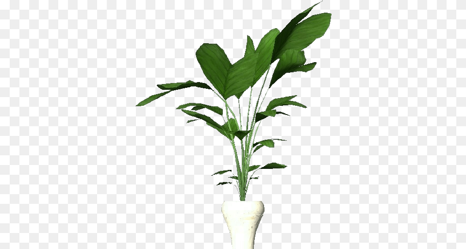 Potted Plant For Apartments Apartment Flower, Leaf, Potted Plant, Tree, Palm Tree Free Png Download