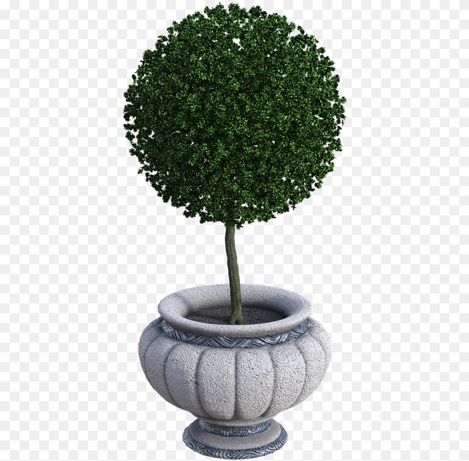 Potted Plant Trimmed Pot Flower Plant Summer Plane, Potted Plant, Tree, Jar, Pottery Free Transparent Png