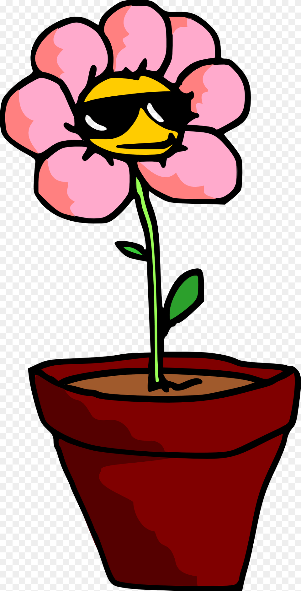 Potted Plants And Flowers Cartoon Potted Plant Transparent, Flower, Petal, Potted Plant, Baby Free Png Download