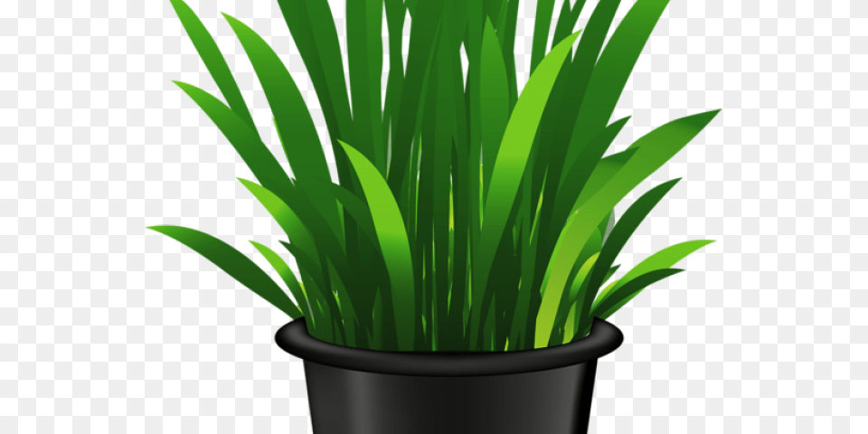 Potted Plants Clipart Seedling Clip Art, Grass, Jar, Plant, Planter Free Transparent Png