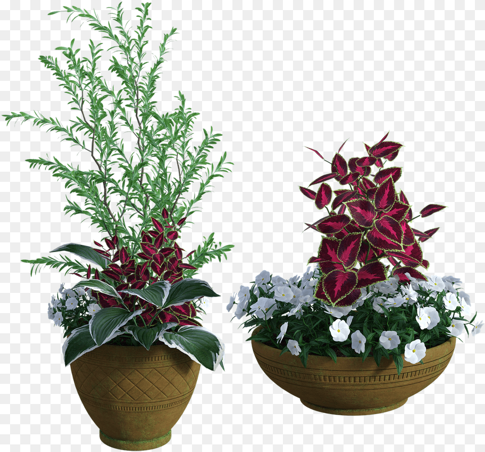 Potted Plants Green Garden Grow Pots Flowers Houseplant, Leaf, Flower, Flower Arrangement, Plant Free Transparent Png