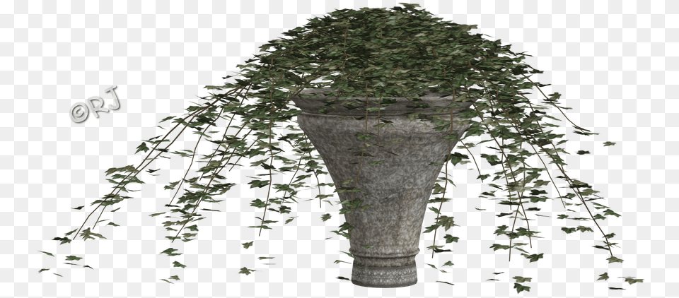 Potted Plants Set I Houseplant, Jar, Pottery, Plant, Ivy Png Image