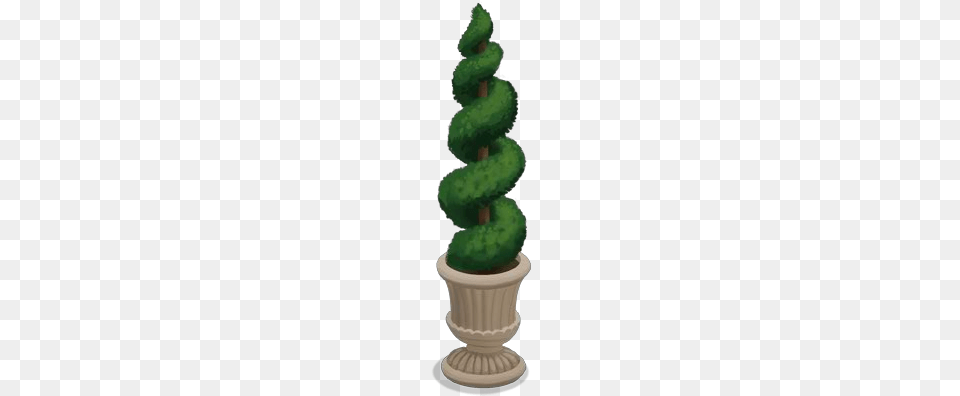 Potted Spiral Tree Wiki, Conifer, Green, Potted Plant, Plant Free Png Download
