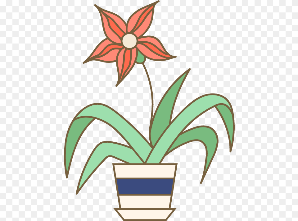 Potted Star Plant Graphic Picmonkey Graphics Flowerpot, Flower, Flower Arrangement, Ikebana Free Png