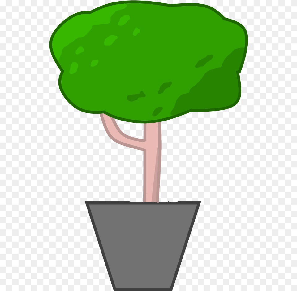 Potted Tree, Plant, Potted Plant, Green Free Png Download