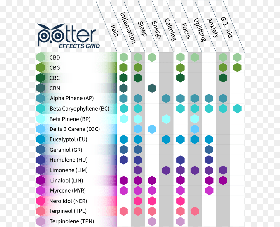 Potter Effects Grid New 2 Paper Product, Chess, Game Free Png Download