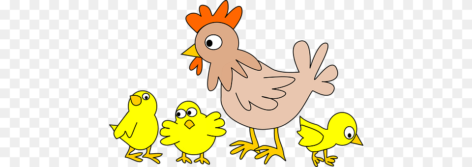 Poultry Animal, Bird, Chicken, Fowl Free Transparent Png