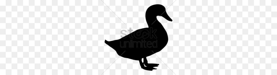 Poultry Clipart, Lighting Png Image