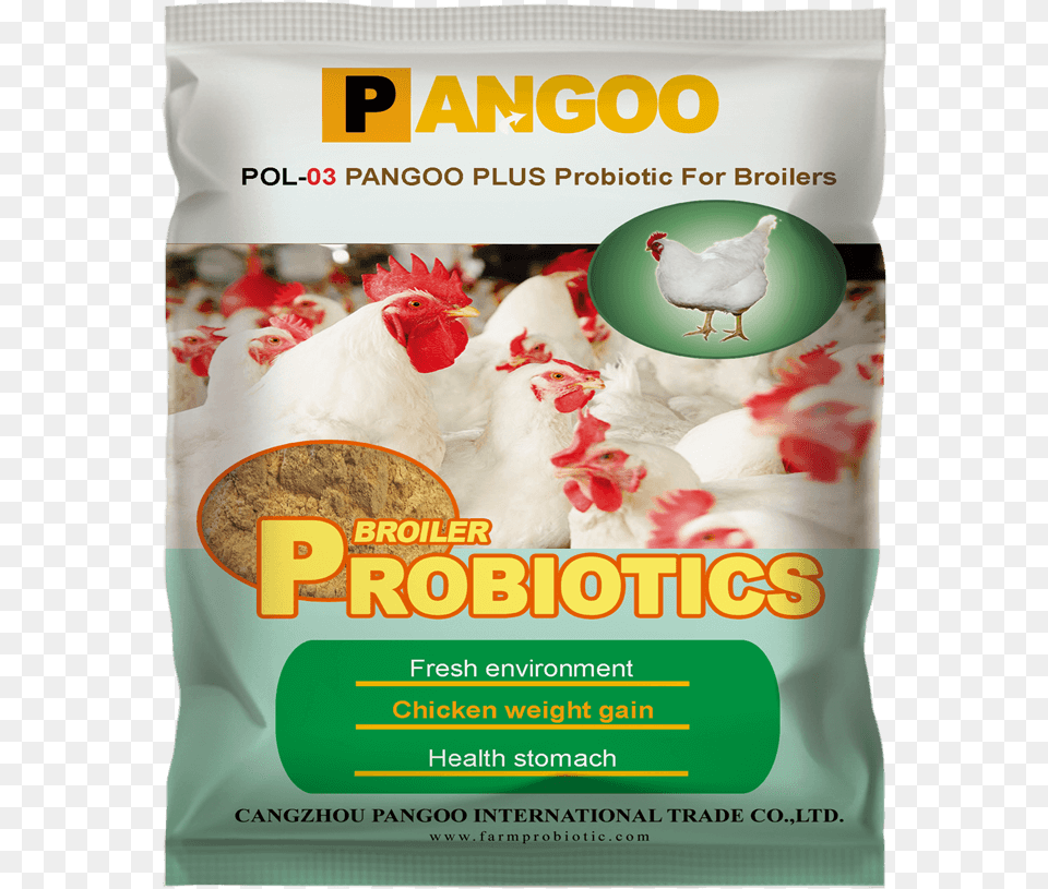 Poultry Probiotics For Broiler Probiotic Pangoo, Animal, Bird, Chicken, Fowl Png