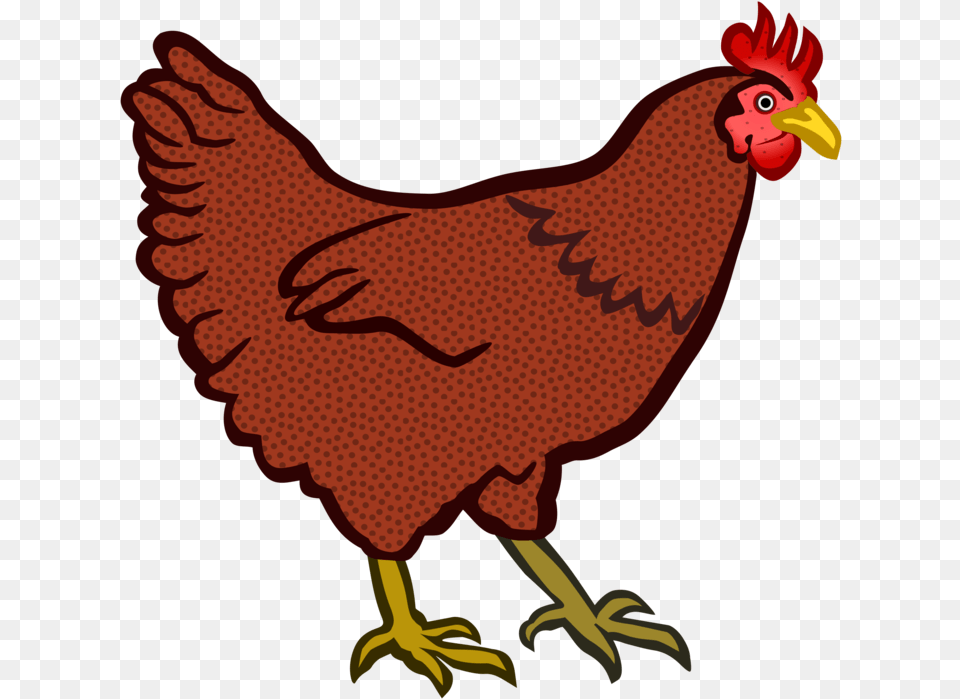 Poultryartlivestock Hen Clipart, Animal, Bird, Chicken, Fowl Free Png
