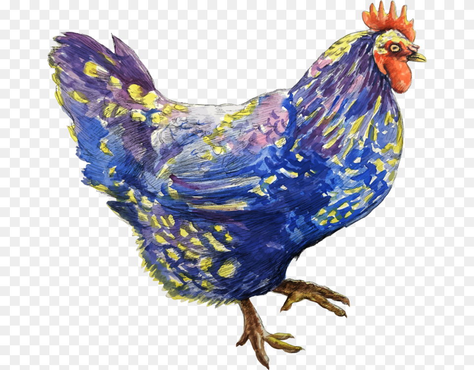 Poultrylivestockfowl Chicken, Animal, Bird, Fowl, Poultry Png Image
