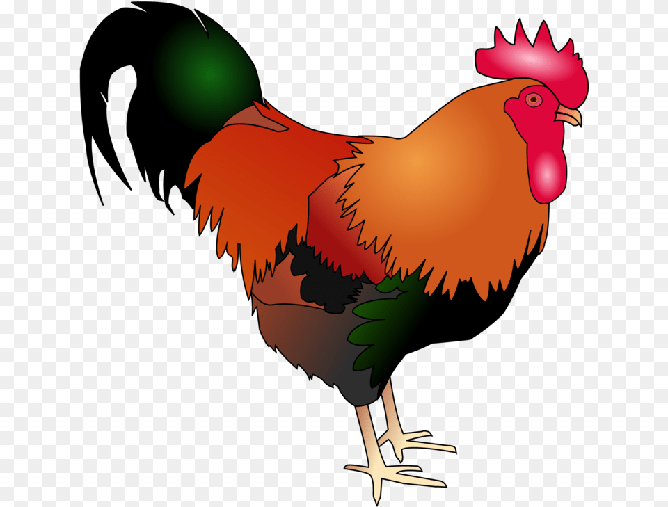 Poultrylivestockfowl Rooster Art Chicken Cartoon, Animal, Bird, Fowl, Poultry Png Image