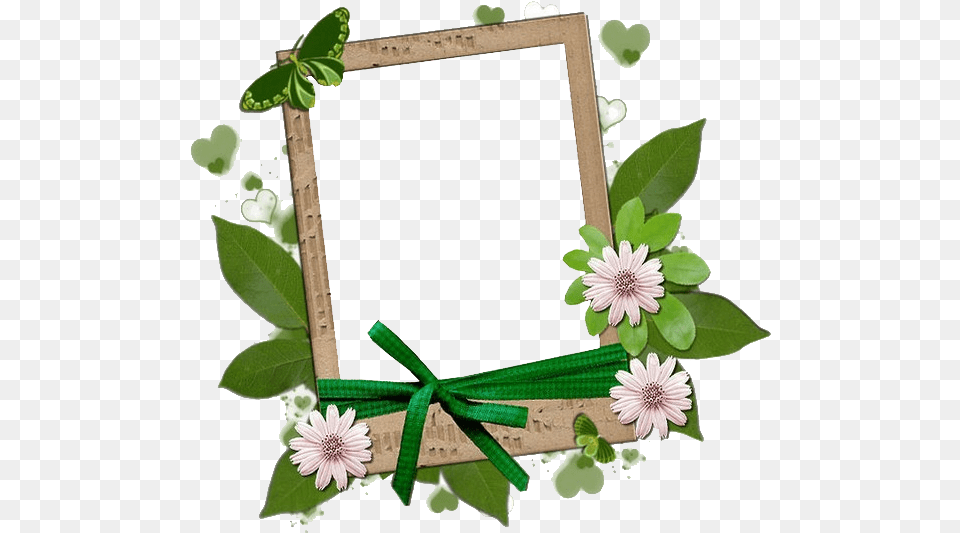 Pour Vos Cras Clipart Et Image Cadre, Plant, Leaf, Flower Free Png