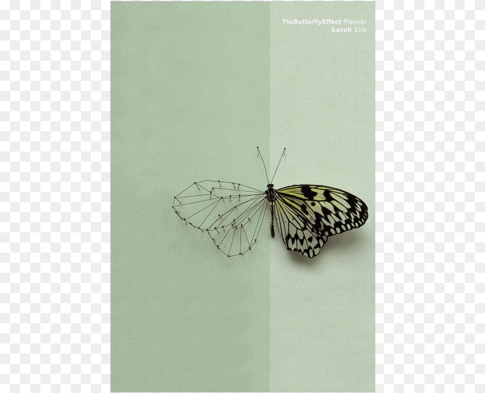 Power Of Intention Planner Melanargia, Animal, Butterfly, Insect, Invertebrate Png Image