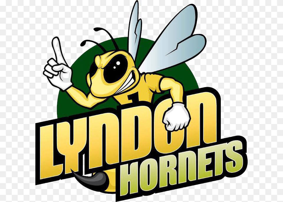 Powered By Northeast Sports Network Nvu Lyndon Logo Lyndon Hornets, Animal, Invertebrate, Insect, Wasp Free Png Download