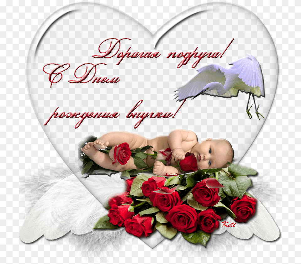 Pozdravlenie S Dnem Rozhdeniya Vnuchki Babushke, Rose, Plant, Flower Bouquet, Flower Arrangement Free Png Download
