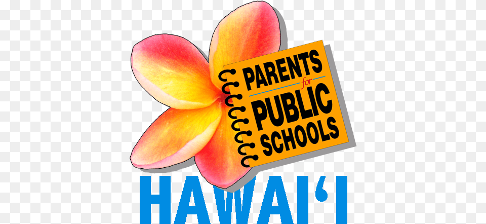 Pps Hawaii Ensuring All Students Have Access To Quality Girly, Flower, Petal, Plant, Advertisement Png