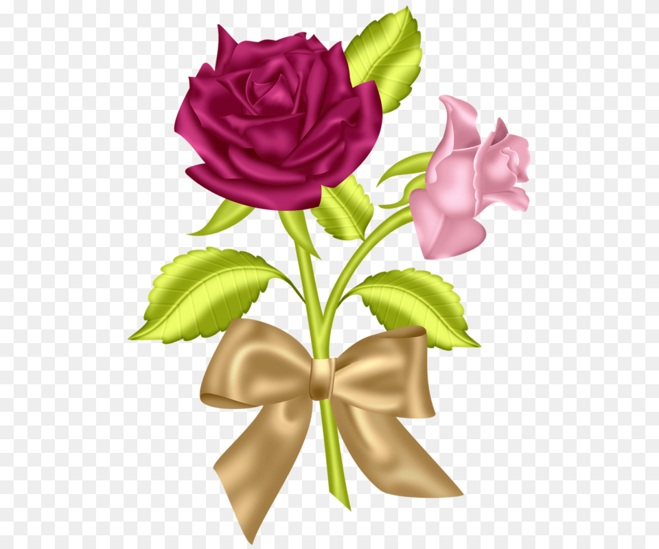 Pps Roses Dia Das Ii Flowers Flower, Plant, Rose, Flower Arrangement, Flower Bouquet Free Transparent Png