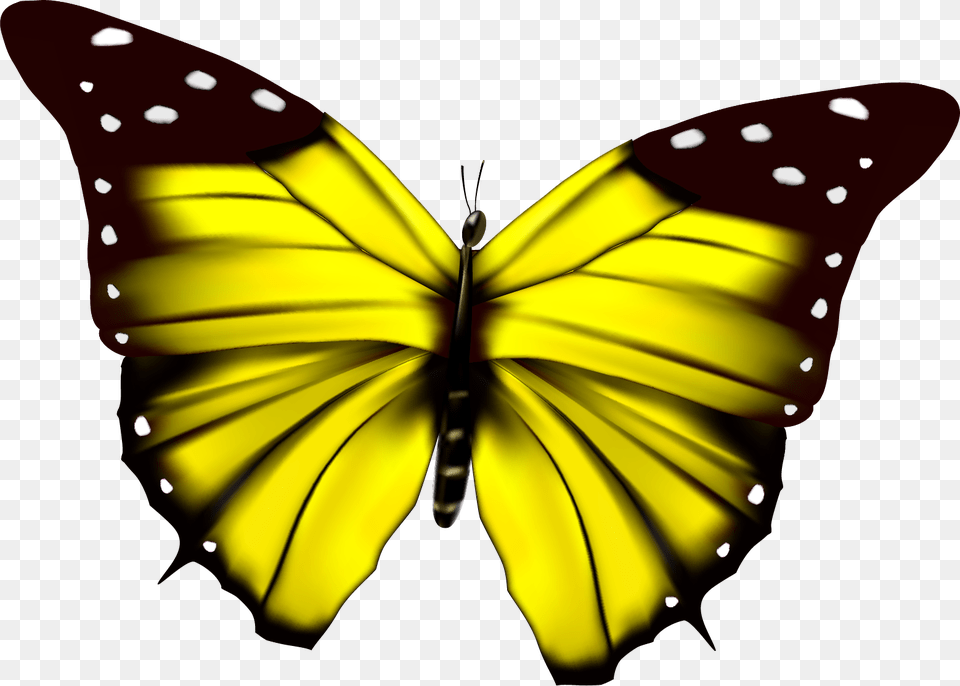 Ppt, Animal, Butterfly, Insect, Invertebrate Free Transparent Png