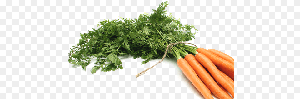 Ppt Carrot, Food, Herbs, Plant, Produce Png Image