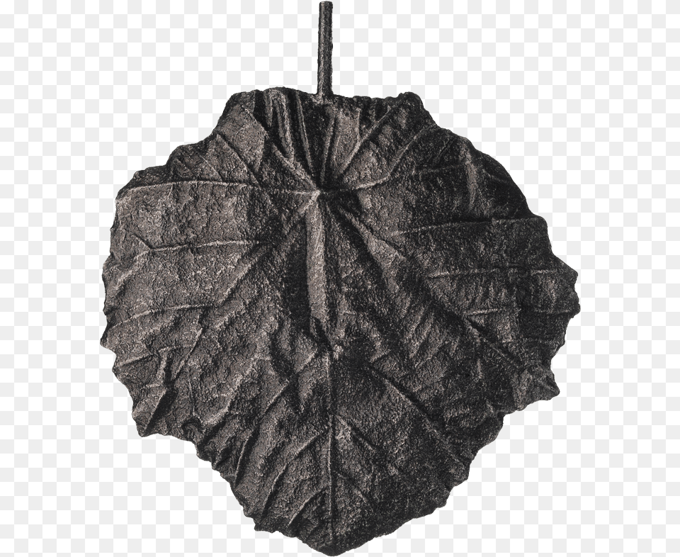 Pr Umbrella, Leaf, Plant, Tree Free Png Download