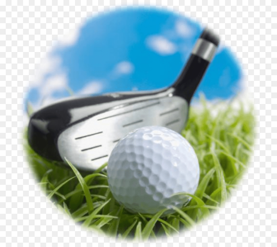 Practicing In Public Parks, Golf, Sport, Ball, Golf Ball Png Image