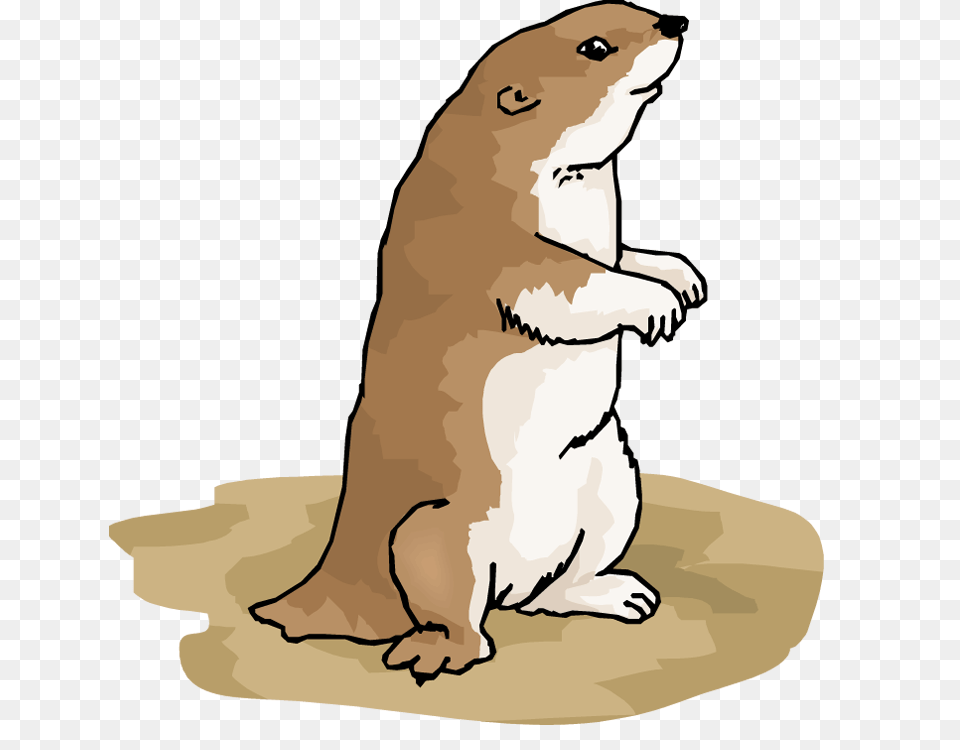 Prairie Dog Clipart, Baby, Person, Animal, Mammal Free Png Download