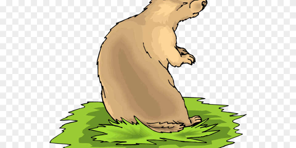 Prairie Dog Clipart Marmot, Animal, Mammal, Baby, Person Free Png Download