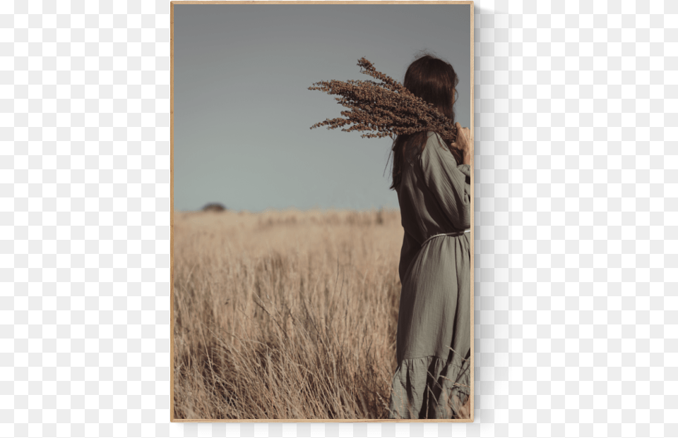 Prairie Grass, Reed, Plant, Field, Adult Free Png Download