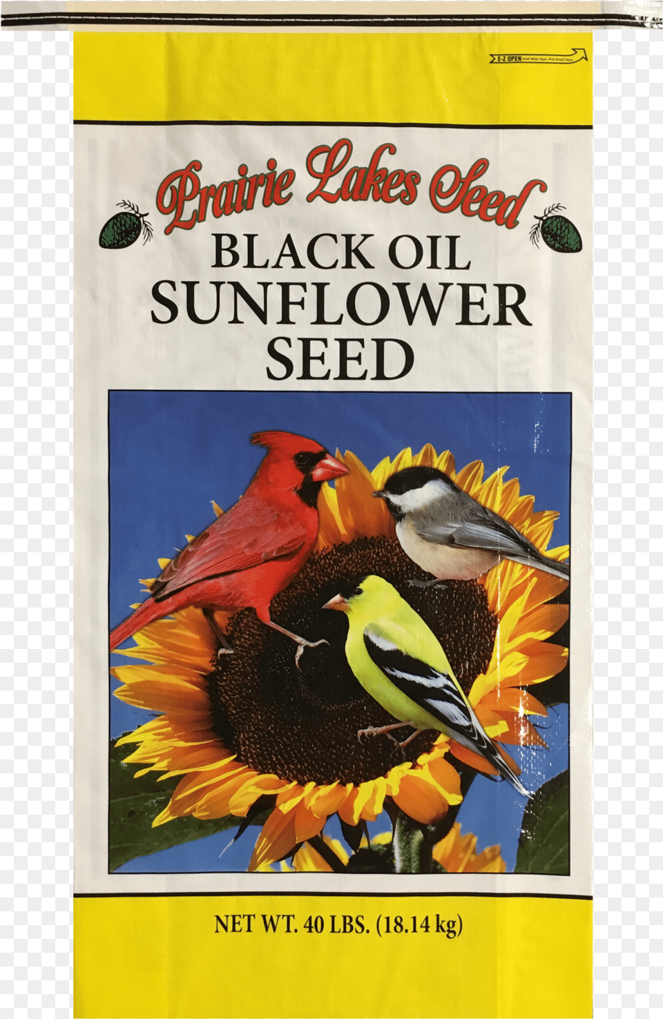 Prairie Lakes Seed Black Oil Sunflower Wild Bird Food Black Oil Sunflower Wild Bird Food 50 Lb, Animal, Beak, Flower, Plant Png