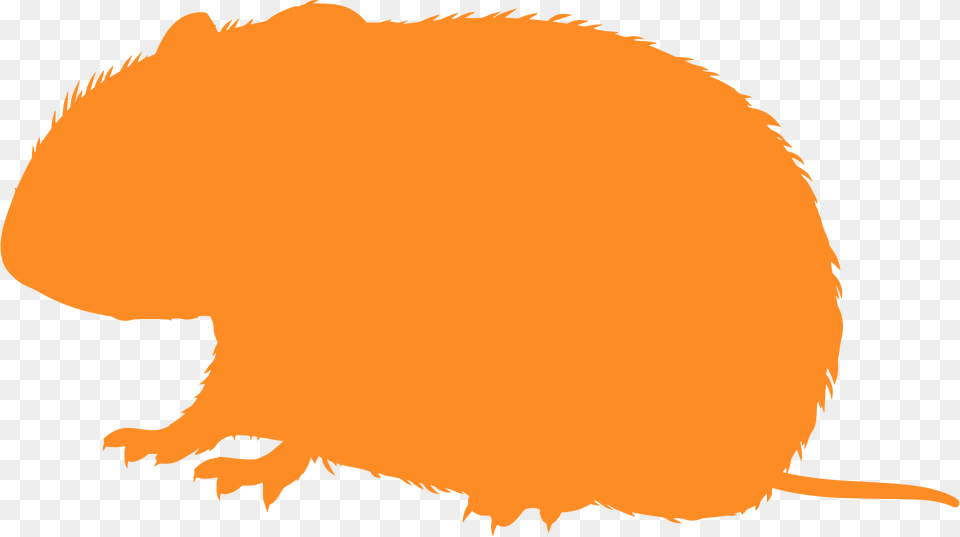 Prairie Vole Silhouette, Animal, Mammal, Rodent, Fish Png