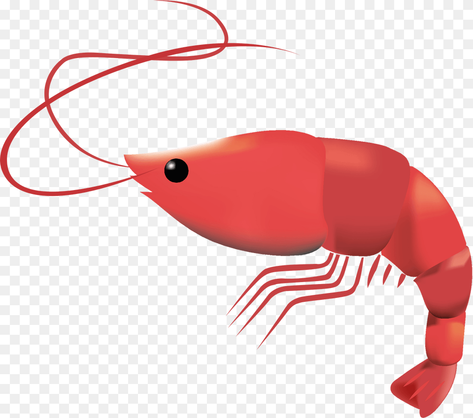 Prawn Clipart, Animal, Food, Invertebrate, Sea Life Free Transparent Png