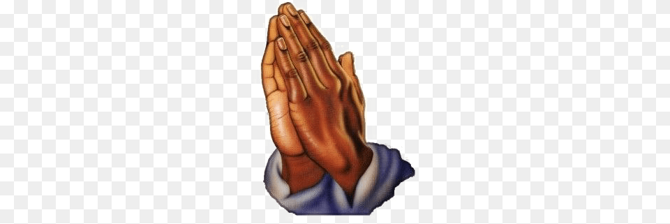 Pray Hands Download Transparent Prayer Hands, Baby, Person Png Image