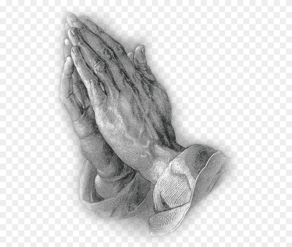 Prayer Hands Praying Hands, Adult, Bride, Female, Person Png Image