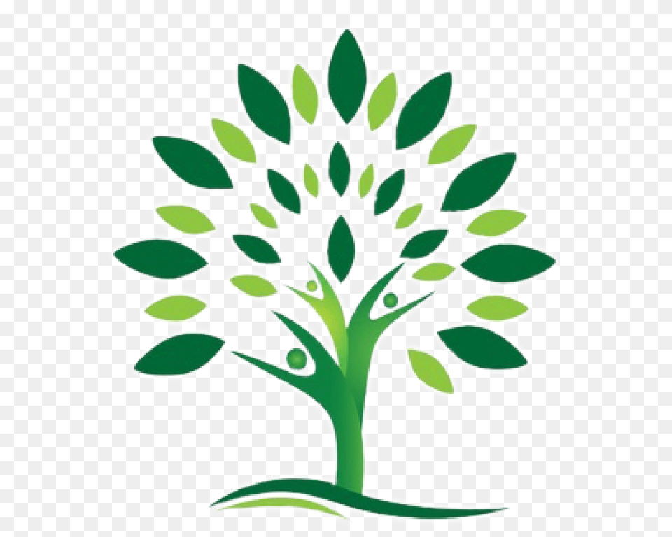 Prayer Tree Saint Andrew Parish, Herbal, Herbs, Plant, Flower Free Png Download