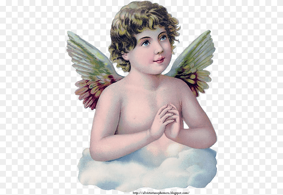 Praying Child Angel Scrap Fairy, Baby, Person, Face, Head Free Png