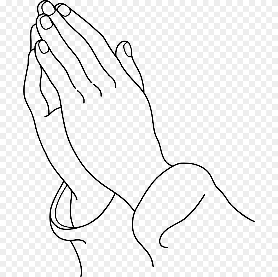 Praying Hands, Animal, Kangaroo, Mammal, Body Part Png Image