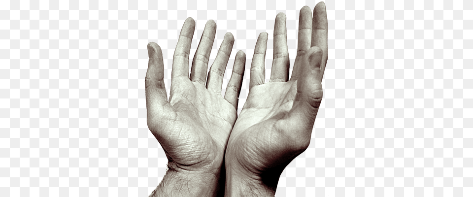 Praying Hands, Body Part, Finger, Hand, Person Png Image